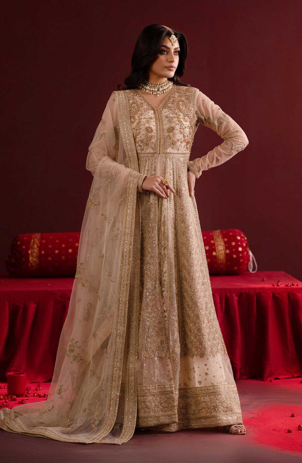 Nooresha by Emaan Adeel Embroidered Net Unstitched 3 Piece Suit - D-01 Safira - EA25NF - Fawn - Formal Collection